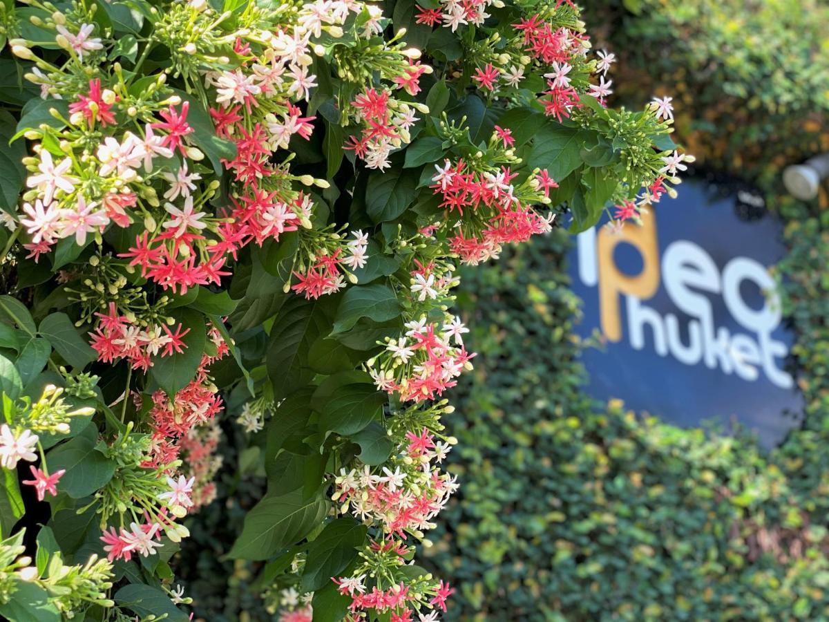 Ideo Phuket Hotel - Sha Extra Plus Nai Yang Beach Exteriér fotografie