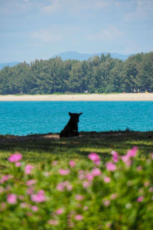 Ideo Phuket Hotel - Sha Extra Plus Nai Yang Beach Exteriér fotografie